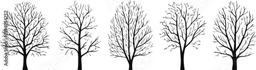 Five tree silhouettes with branching patterns