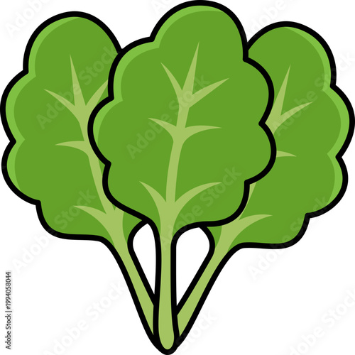 Spinach illustration