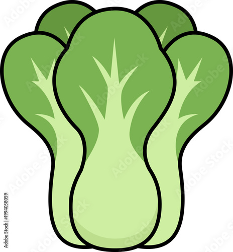 Bok choy illustration