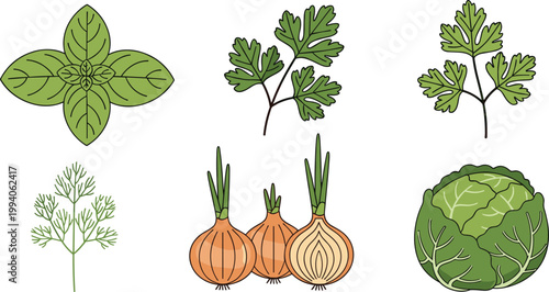Vegetable and Herb Collection with Onion Cabbage Basil Parsley and Dill Flat Illustration for Cooking, Healthy Food, Organic Farming, and Clean Vector Design