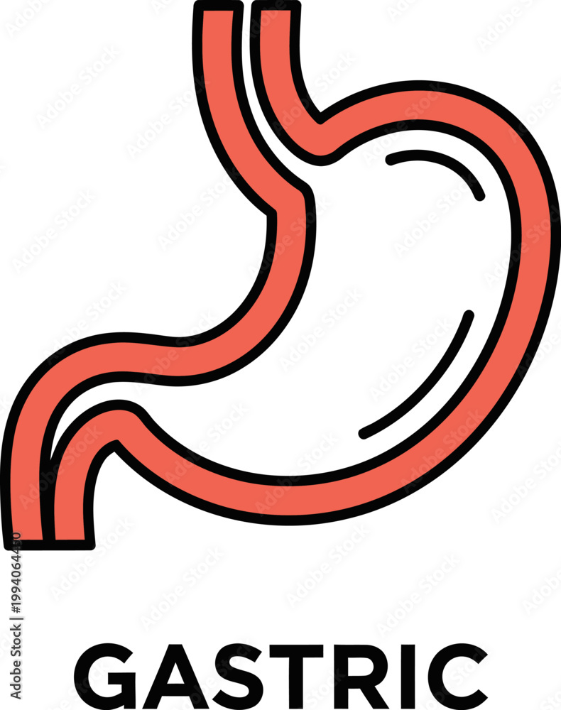 Fototapeta premium Clean graphic line art illustration depicting the human stomach, an essential digestive organ, symbolizing health, wellness, and medical anatomy in a minimalist style