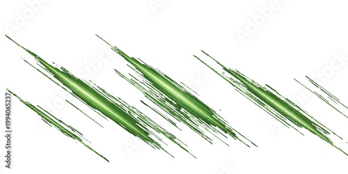 Fresh green wheat ears and organic cereal grains isolated on a white background represent a natural summer harvest of agricultural crops like barley and rye for bread production