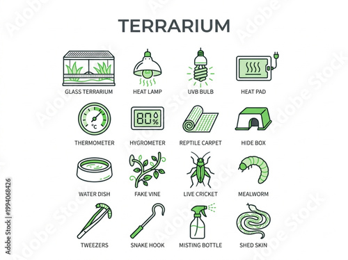 Professional collection of green and charcoal line art icons illustrating terrarium equipment and reptile care essentials organized in a clean grid