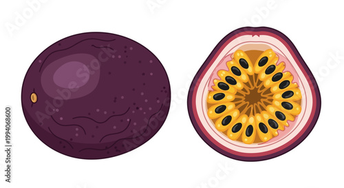 Vector illustration of whole and halved passion fruit on white background