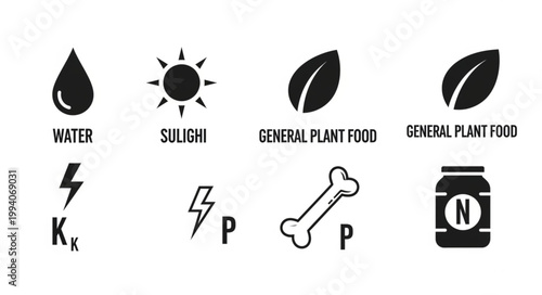 Plant Nutrition Icons Representing Water Sunlight Nutrients And Fertilizer.