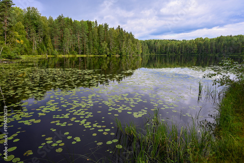 Tableau sur toile Tranquil forest lake landscape in the Vepsian Forest National Park, Leningrad re
