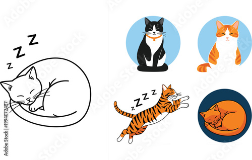 Sleeping cat illustration set featuring cute kittens resting curled and napping poses with playful cartoon feline characters isolated on soft backgrounds