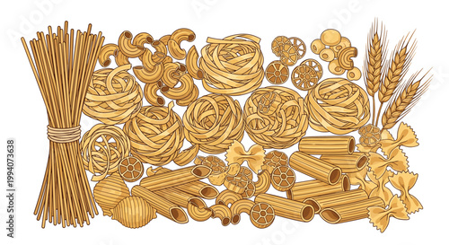 Variety of dried italian pasta shapes including spaghetti penne and fusilli arranged with stalks of ripe wheat.