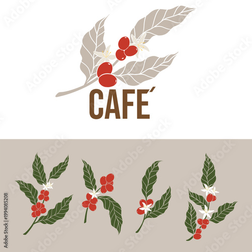 Coffee Plant Vector Set with Red Coffee Cherries Leaves and Cafe Lettering