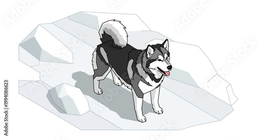 Alaskan Malamute Standing on Snowy Terrain