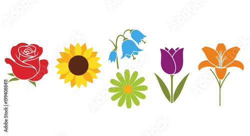 Colorful flower illustrations rose sunflower bluebell tulip lily vector design