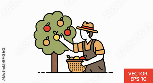 Farmer harvesting ripe apples from a tree in an orchard illustration