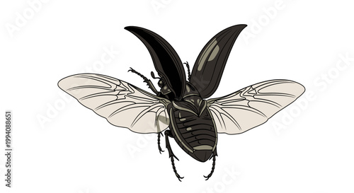 Flying beetle illustration with open wings isolated on white background