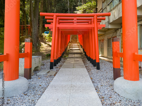 Bilde på lerret 滋賀県東近江市（八日市）の神社に佇む鮮やかな朱色の千本鳥居、新緑の森へと続く幻想的な参道の風景（47文字）
/ Vibrant Vermilion Torii