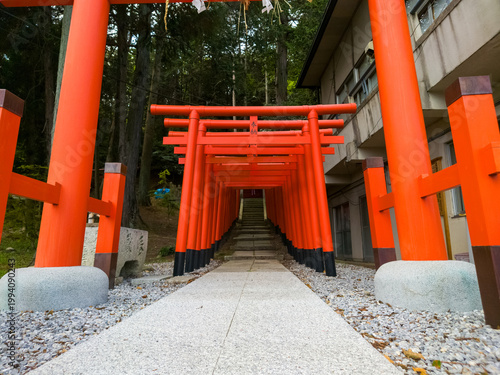 Foto 滋賀県東近江市（八日市）の神社に佇む鮮やかな朱色の千本鳥居、新緑の森へと続く幻想的な参道の風景（47文字）
/ Vibrant Vermilion Torii