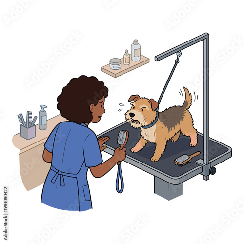 A woman groomer shaves a dog on a table in a salon with tools.
