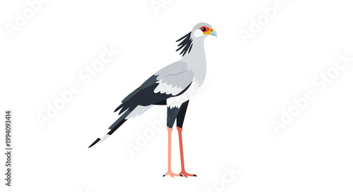 Elegant Secretary Bird Standing Proudly Against a Clean White Background.