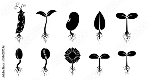 Collection of Seedlings and Sprouts Growing Plants.