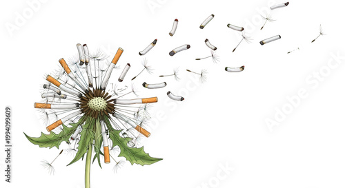 Cigarette dandelion flower blowing seeds away.