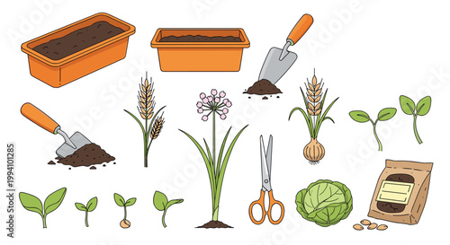 Collection of various gardening tools plants and seeds including pots seedlings scissors and a cabbage for hobby or farming concepts.