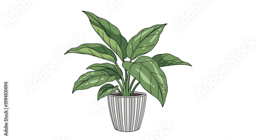 Green leafy houseplant in a decorative striped ceramic pot standing alone on a white background for interior decoration and nature themes.