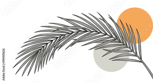 Modern artistic composition featuring a detailed palm leaf sketch layered over abstract orange and grey circular shapes.
