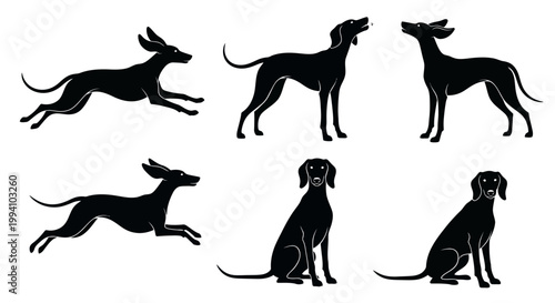 Set of Black Silhouettes of Hunting Dogs in Various Poses