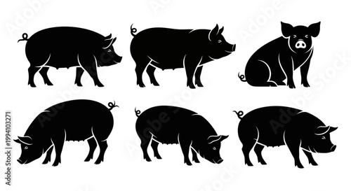 Set of Black Pig Silhouettes in Various Poses