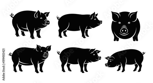 Set of Pig Silhouettes Isolated on White Background