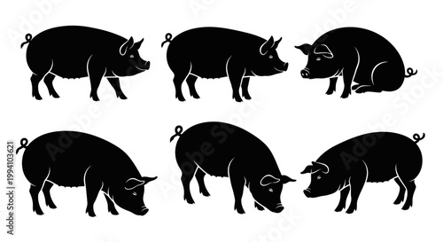 Set of Black Pig Silhouettes in Various Poses