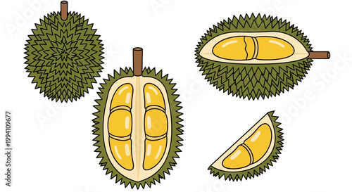 Delicious Durian Fruit Whole and Sliced Tropical Delicacy.