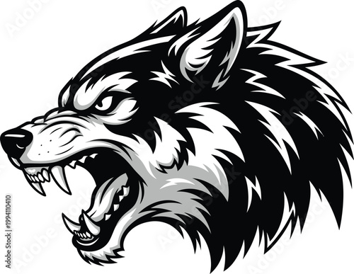 Gray wolf head with open mouth and sharp teeth snarling aggressively sideways