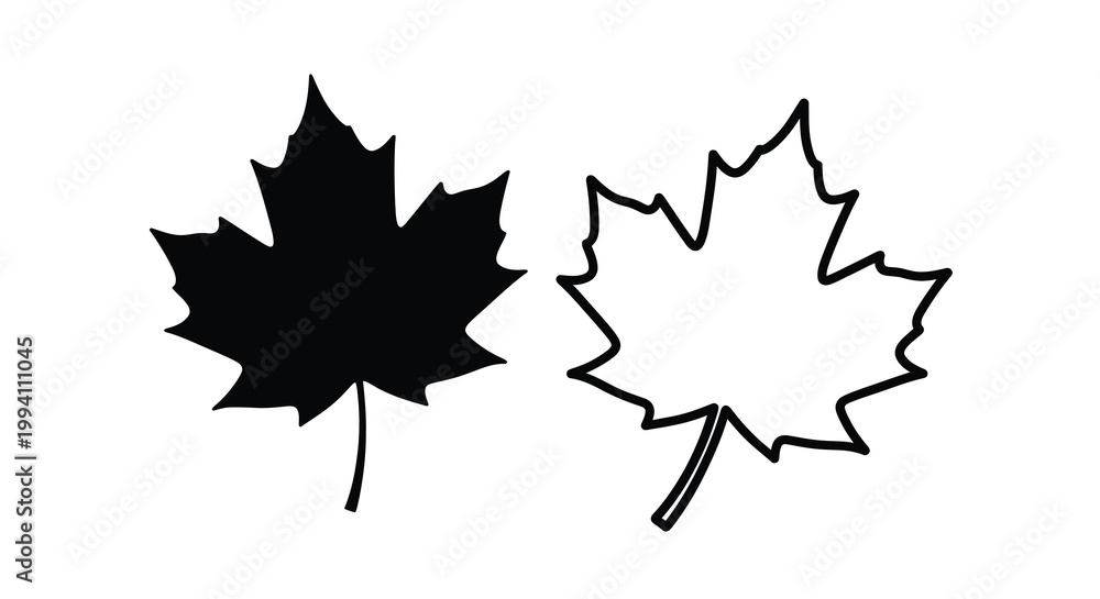 Fototapeta premium Two maple leaves one filled and one outlined creating a contrast silhouette
