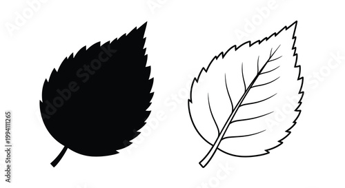 Two leaves one filled and one outlined creating a striking silhouette