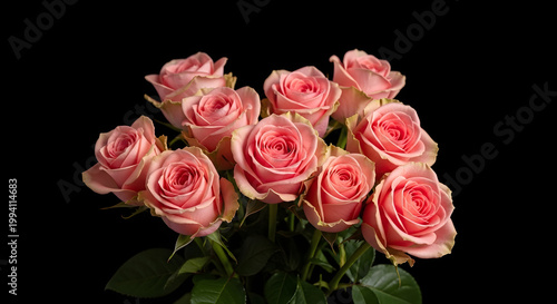  The captivating beauty of a lush bouquet of roses against a striking black background. A floral arrangement for a greeting card, shot from above. AI generated.
