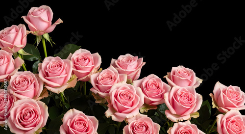  The captivating beauty of a lush bouquet of roses against a striking black background. A floral arrangement for a greeting card, shot from above. AI generated.
