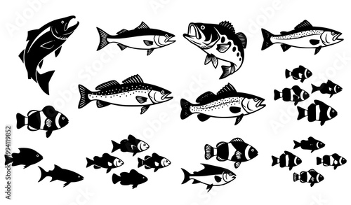 A collection of various fish illustrations in black and white