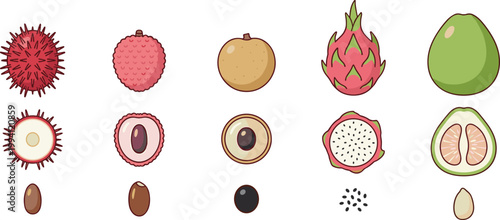 Exotic Fruit Icon Set with Rambutan, Lychee, Longan, Dragon Fruit, and Guava with Seeds and Cross Sections for Tropical Food Design