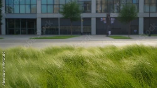 Blurred grass sways in front of a large modern building exterior with trees.