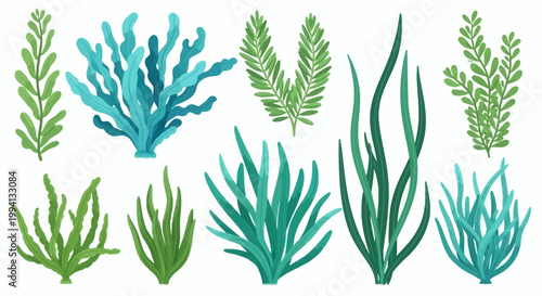 A collection of various aquatic marine plants, seaweed, and algae illustrations in green and blue tones, isolated on a white background for underwater ocean flora design projects.