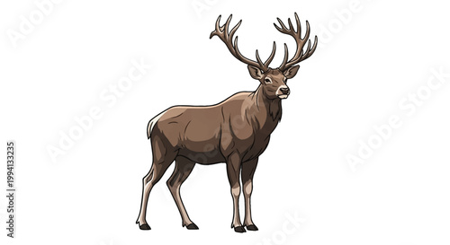Vector illustration of a bull moose with large antlers standing in profile, isolated on white background, animal portrait with brown fur shading and black outlines.