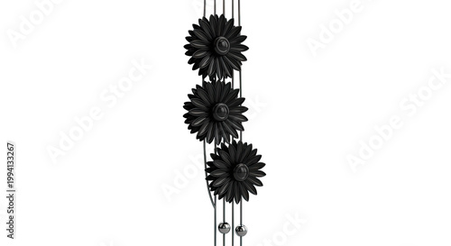 Three Black Daisy-like Flowers on Vertical Stems with Spheres