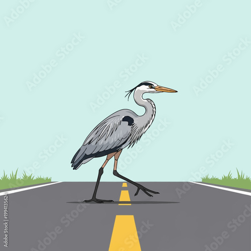 Vector illustration of a grey heron walking across a paved asphalt road with yellow lane markings and green grass on the roadside under a clear blue sky background.