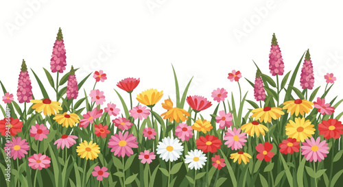Vector illustration of colorful summer garden flowers including daisies, coneflowers, and tall pink floral spikes with green foliage, isolated on a white background with copy space.