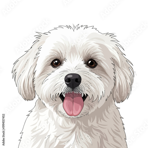 Vector illustration of a cute white fluffy dog portrait with long hair, brown eyes and pink tongue out, smiling Maltese or Bichon Frise puppy headshot on a plain white background.