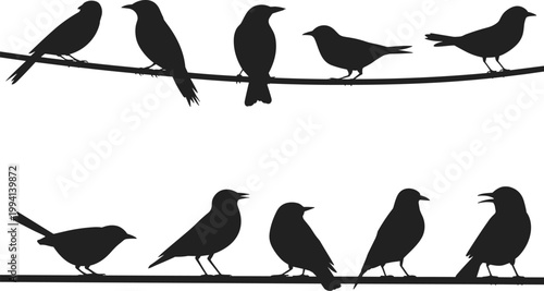 Bird silhouettes on wire, perched flock set isolated animal vector illustration collection