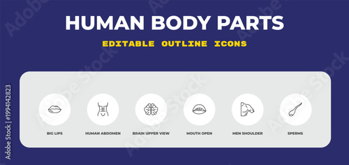 outline human body parts icons set - big lips, human abdomen, brain upper view. editable vector for web and mobile ui