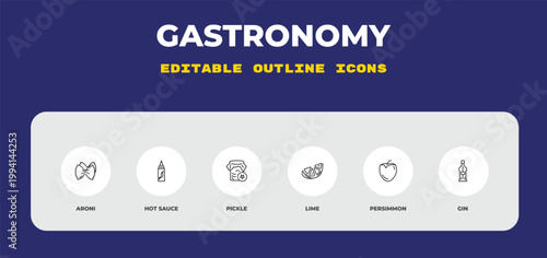 outline gastronomy icons set - aroni, hot sauce, pickle. editable vector for web and mobile ui