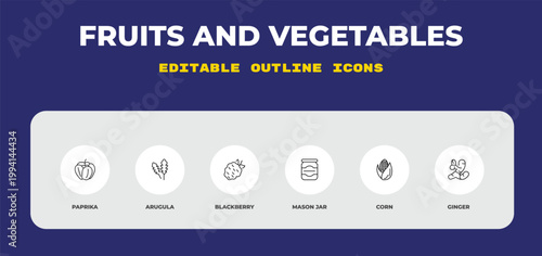 outline fruits and vegetables icons set - paprika, arugula, blackberry. editable vector for web and mobile ui