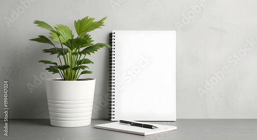 A potted plant and spiral notebook on a desk with a pen